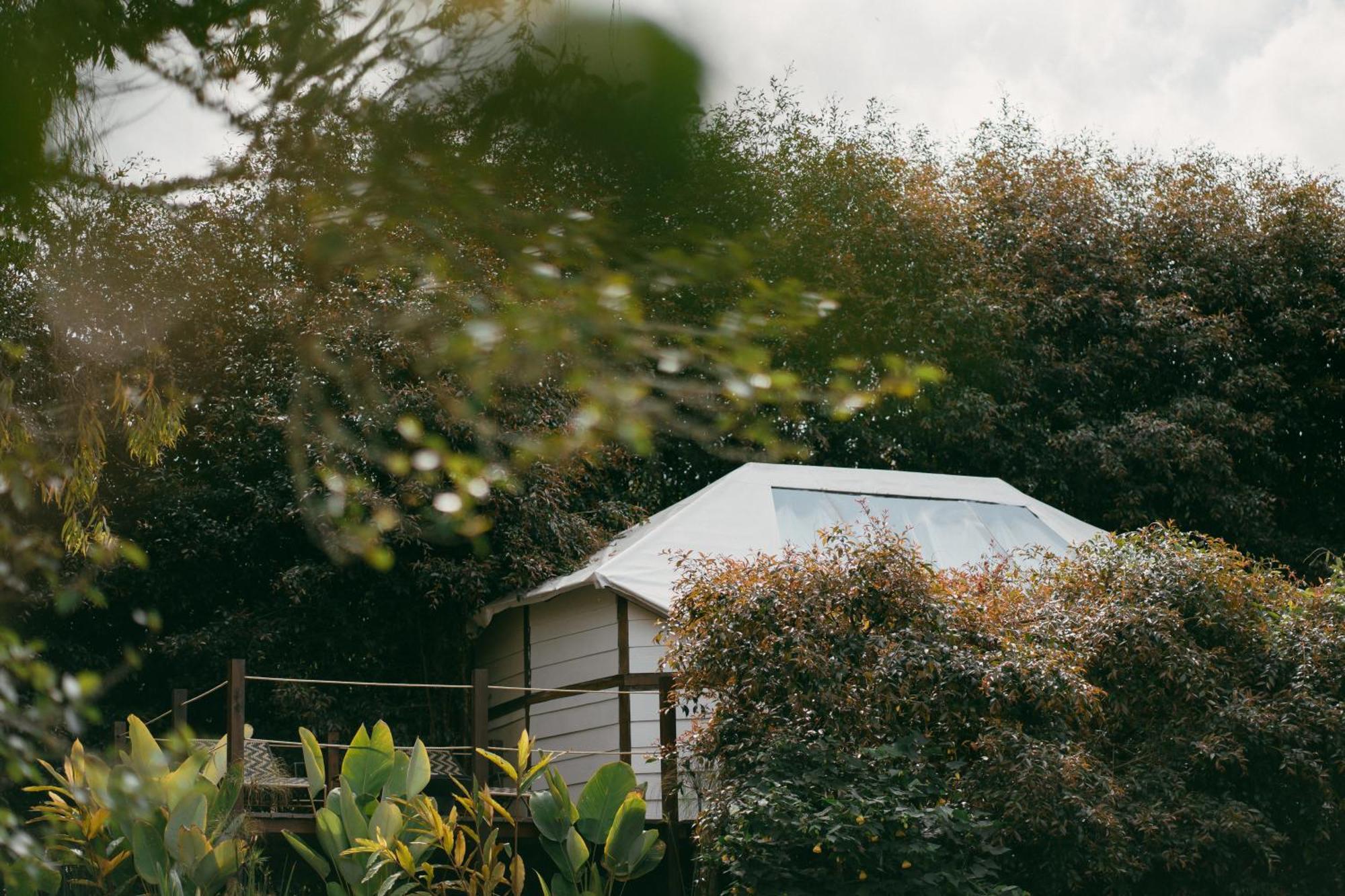 Glamping Lumbre