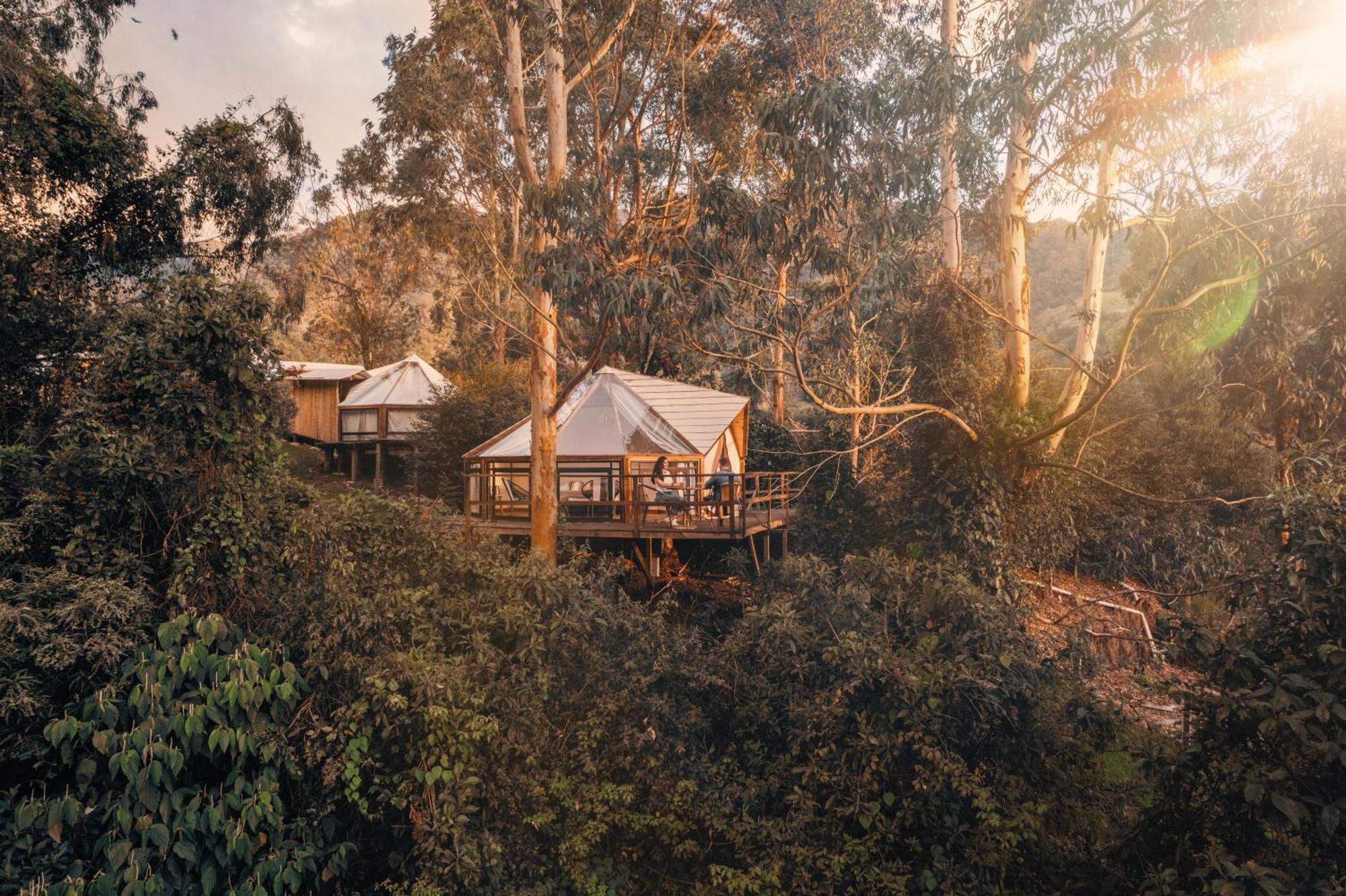Glamping Lumbre Salento