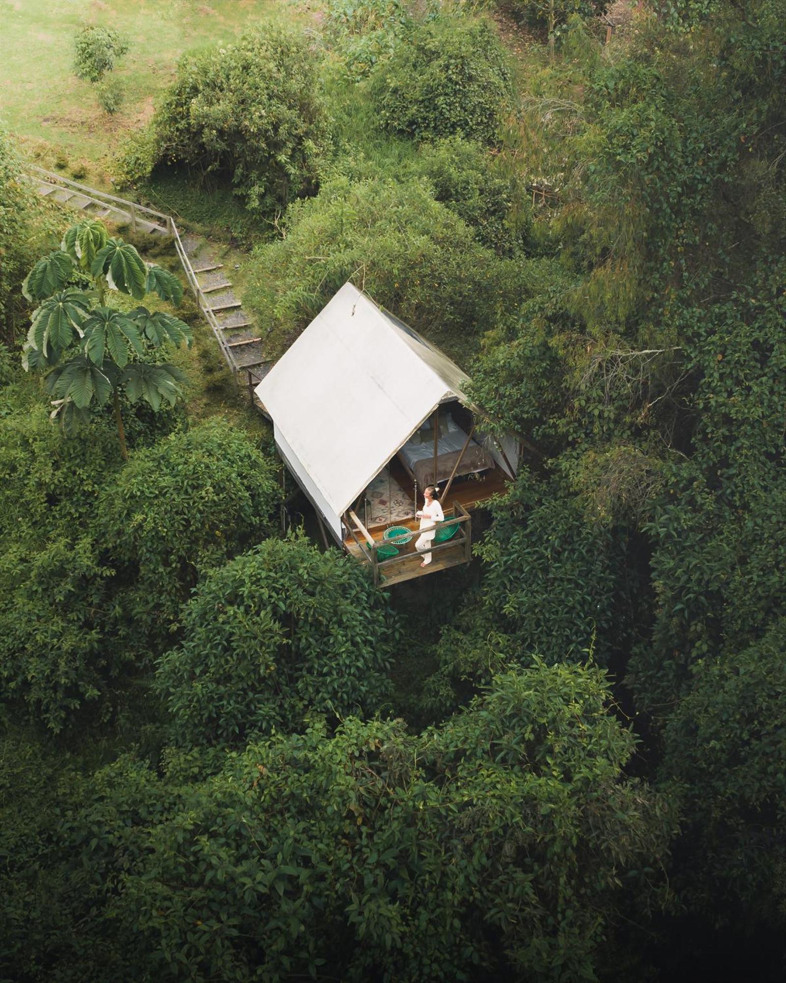 Glamping Lumbre Lodge *