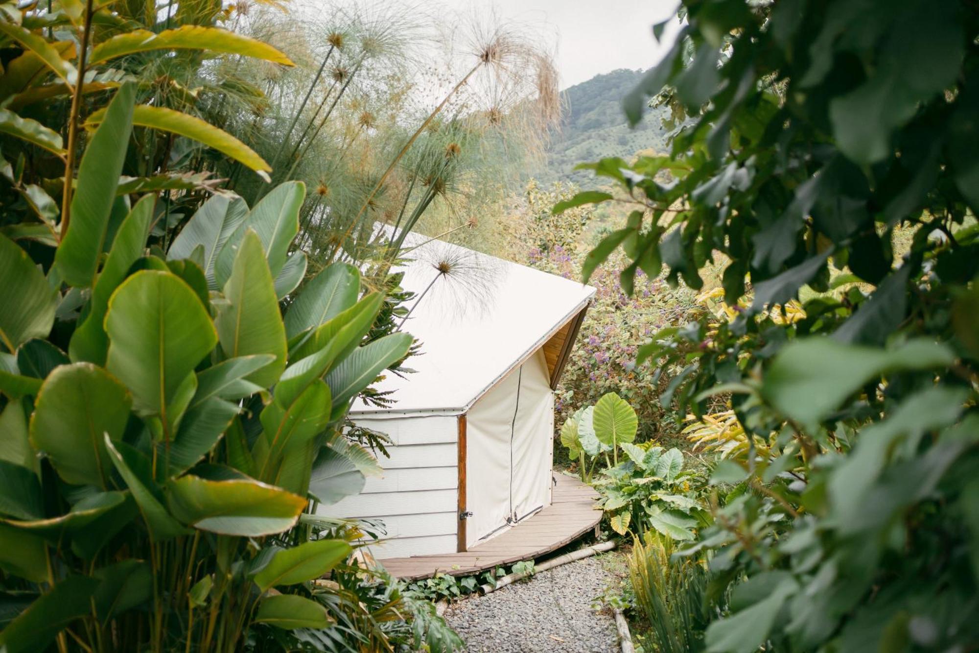 Lodge Glamping Lumbre *